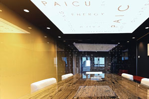 PAICU&SONS Offices